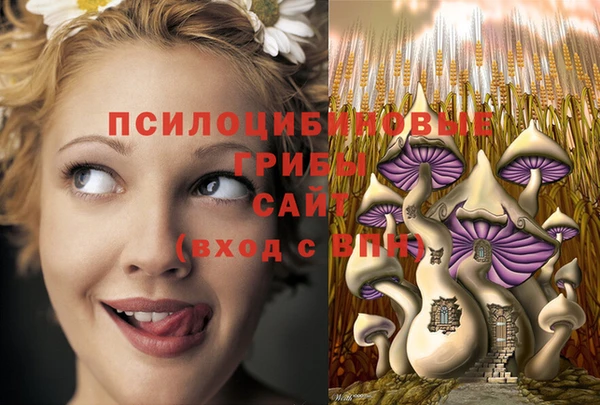 мет Абдулино