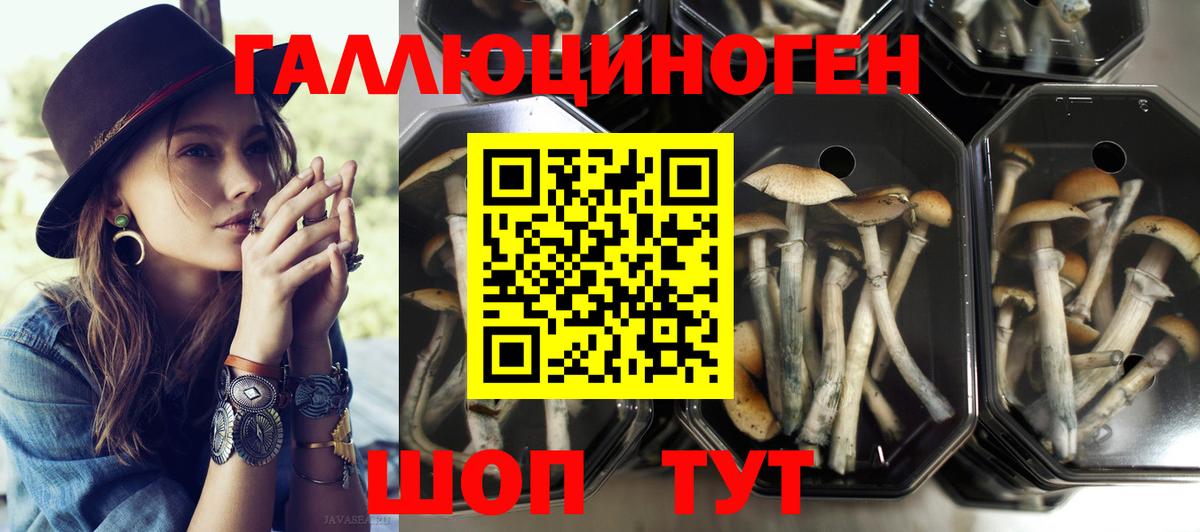 Черемхово  Псилоцибиновые грибы прущие грибы  Вход с VPN 