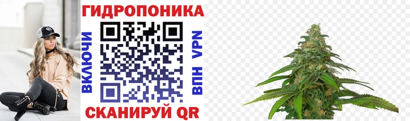 магазин продажи наркотиков  Черемхово  Бошки Шишки LSD WEED 